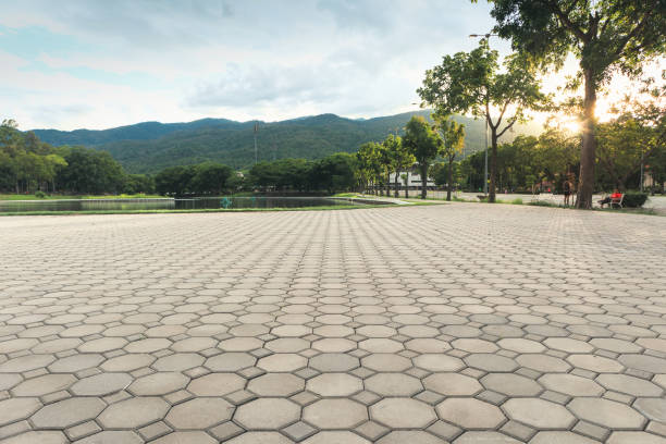 Best Residential Driveway Paver Services  in Walnut Creek, CA